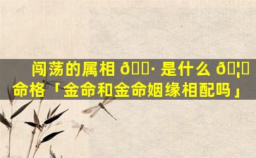 闯荡的属相 🕷 是什么 🦁 命格「金命和金命姻缘相配吗」